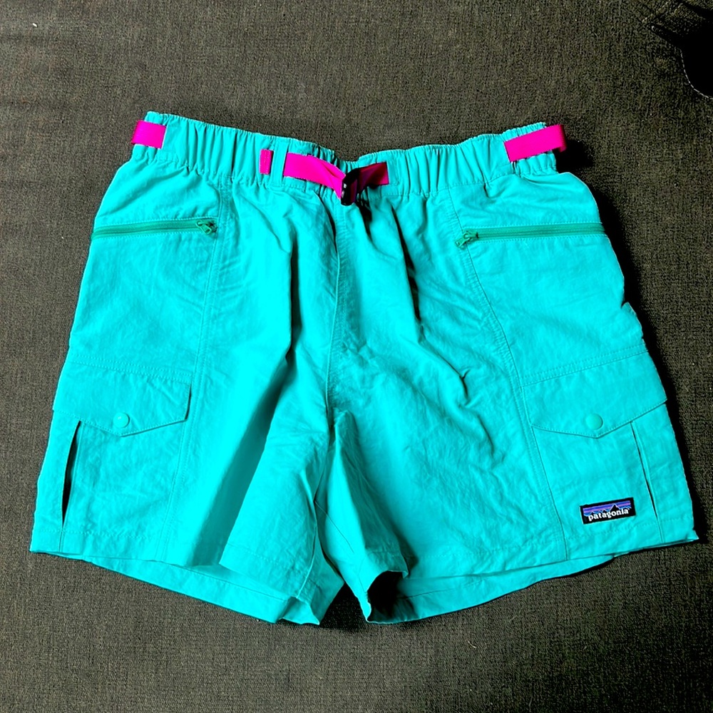 Brand New Patagonia Everday Shorts - dogfish head edition!